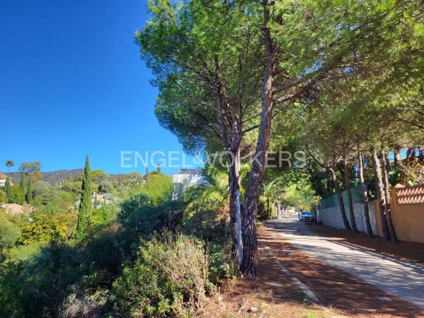 Terreno en paseo de Dinamarca