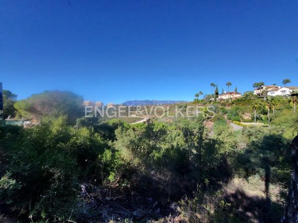 Terreno en paseo de Dinamarca