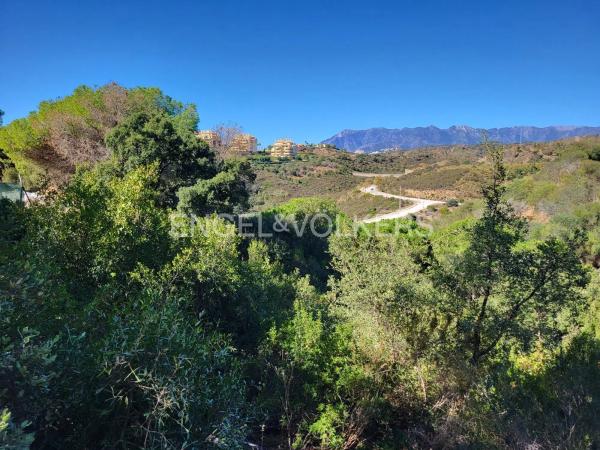 Terreno en paseo de Dinamarca