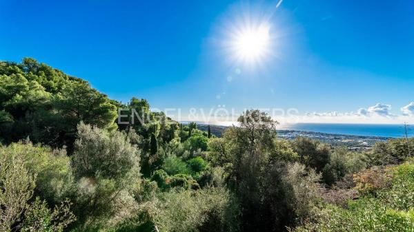 Terreno en carretera de Lomas de Marbella