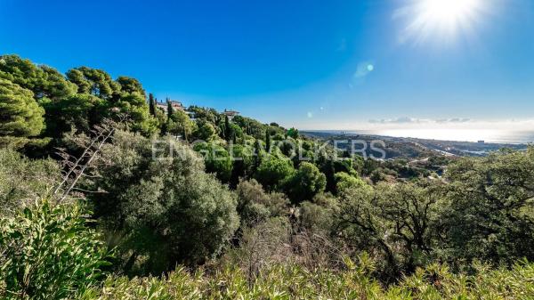 Terreno en carretera de Lomas de Marbella