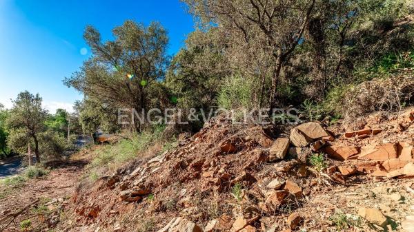 Terreno en carretera de Lomas de Marbella