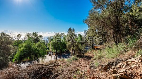 Terreno en carretera de Lomas de Marbella