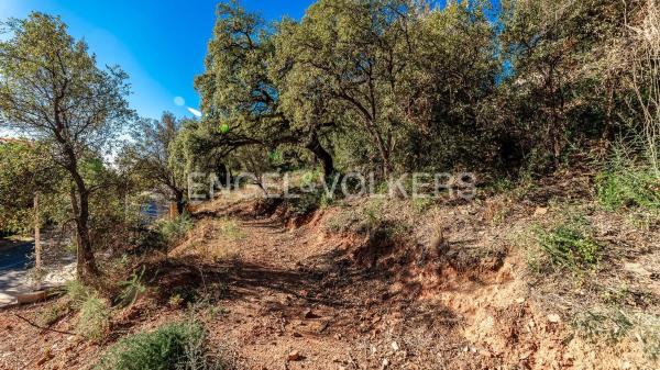 Terreno en carretera de Lomas de Marbella