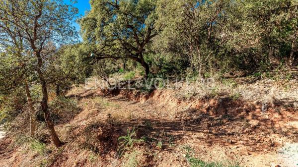 Terreno en carretera de Lomas de Marbella