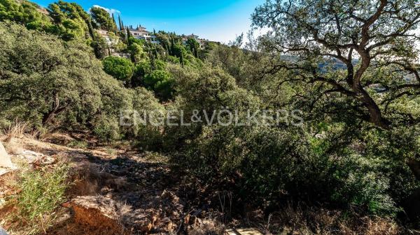 Terreno en carretera de Lomas de Marbella