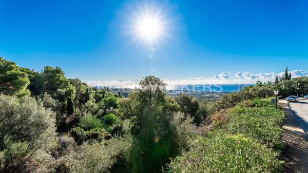 Terreno en carretera de Lomas de Marbella