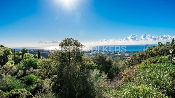 Terreno en carretera de Lomas de Marbella