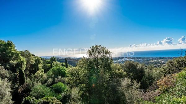Terreno en carretera de Lomas de Marbella