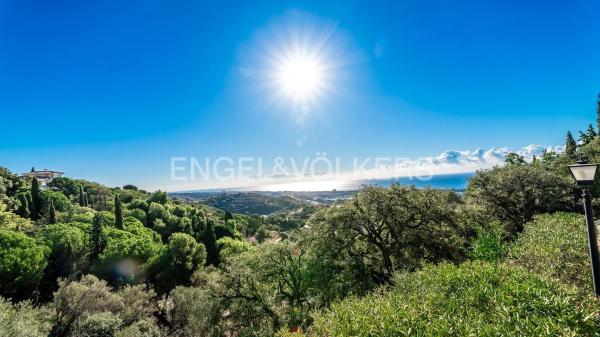 Terreno en carretera de Lomas de Marbella