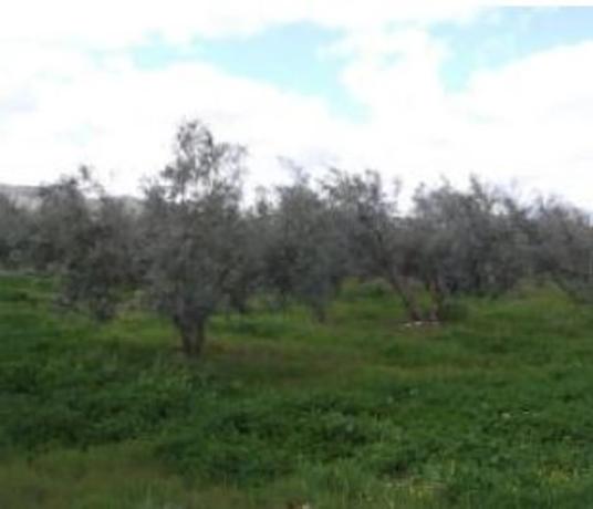 Terreno en calle Río Guadalhorce