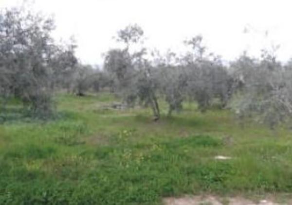 Terreno en calle Río Guadalhorce