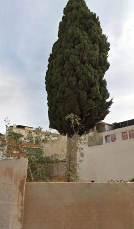 Terreno en calle Velarde