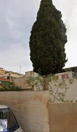 Terreno en calle Velarde