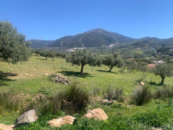 Terreno en calle Venta Baja