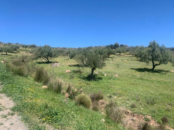 Terreno en calle Venta Baja