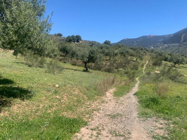 Terreno en calle Venta Baja
