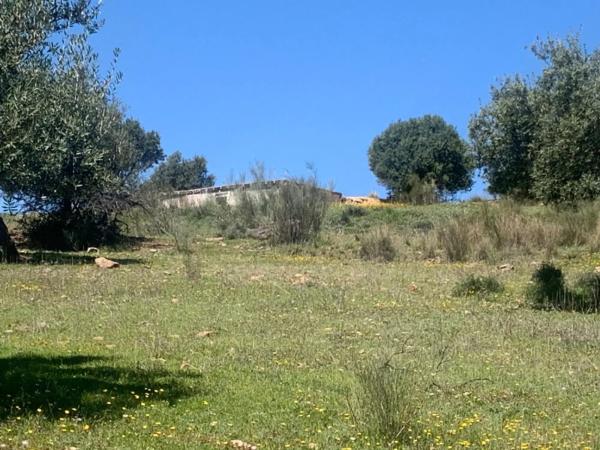 Terreno en calle Venta Baja