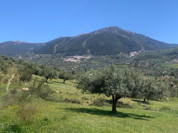 Terreno en calle Venta Baja
