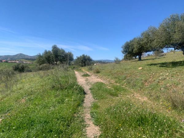 Terreno en calle Venta Baja