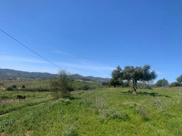 Terreno en calle Venta Baja