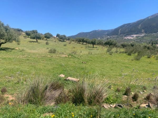 Terreno en calle Venta Baja