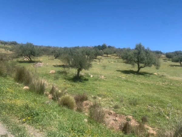 Terreno en calle Venta Baja