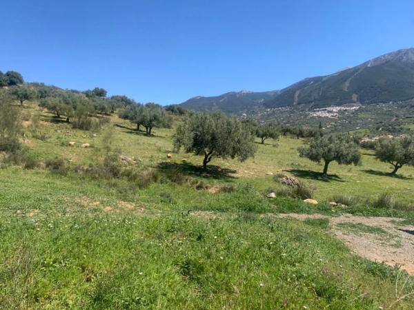 Terreno en calle Venta Baja