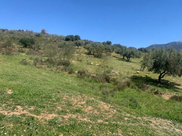 Terreno en calle Venta Baja