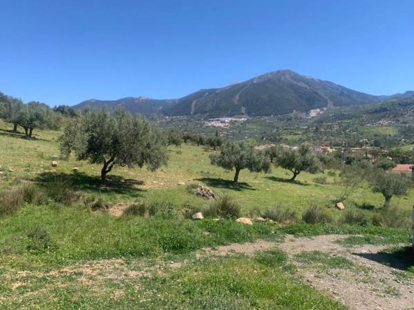 Terreno en calle Venta Baja