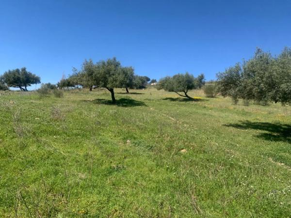 Terreno en calle Venta Baja