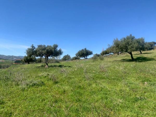 Terreno en calle Venta Baja