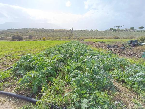 Terreno en carretera de Mirabuen