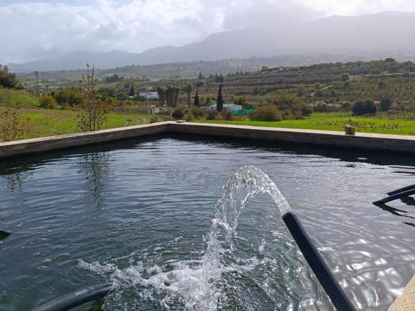 Terreno en carretera de Mirabuen