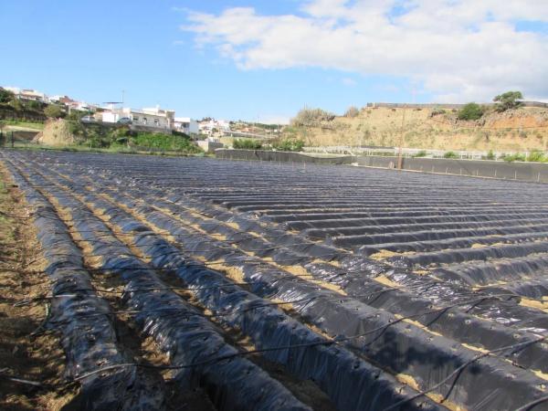 Terreno en Algarrobo