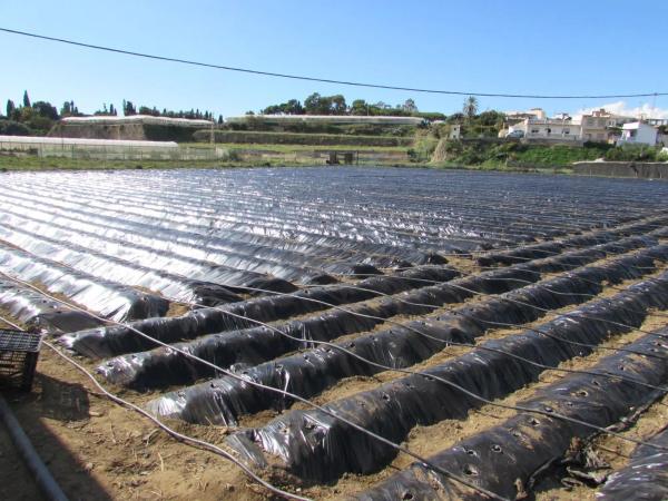 Terreno en Algarrobo