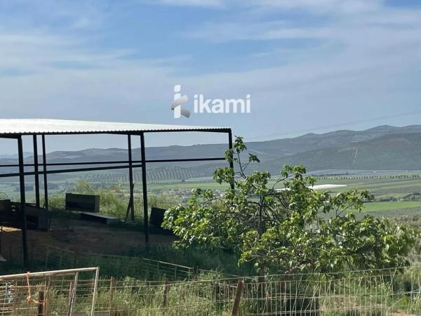 Terreno en Archidona