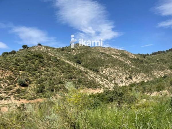 Terreno en Archidona