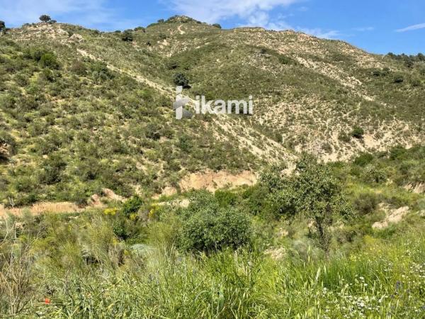 Terreno en Archidona