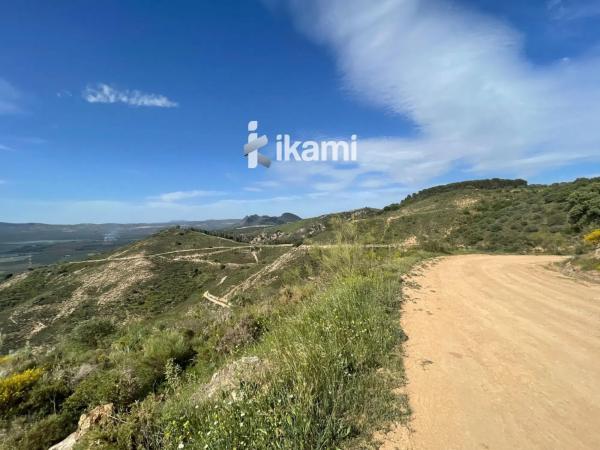 Terreno en Archidona