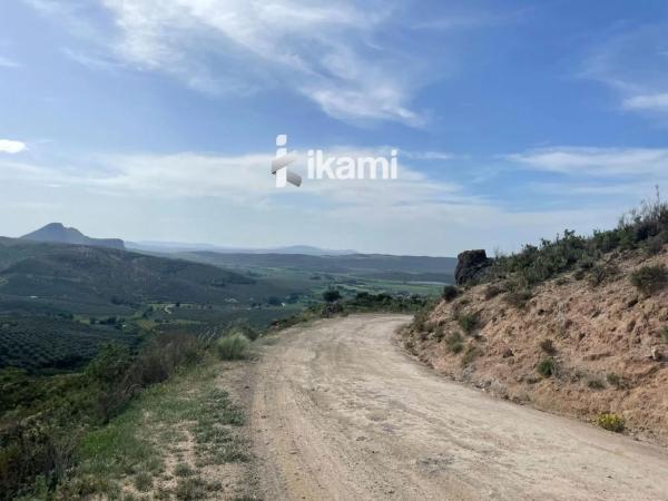 Terreno en Archidona