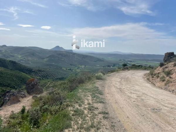 Terreno en Archidona