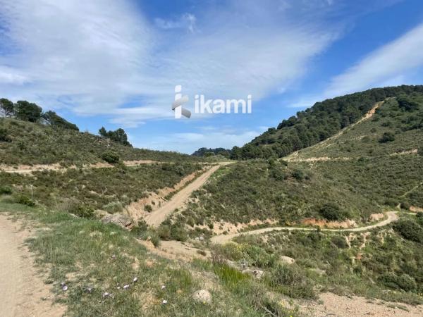 Terreno en Archidona