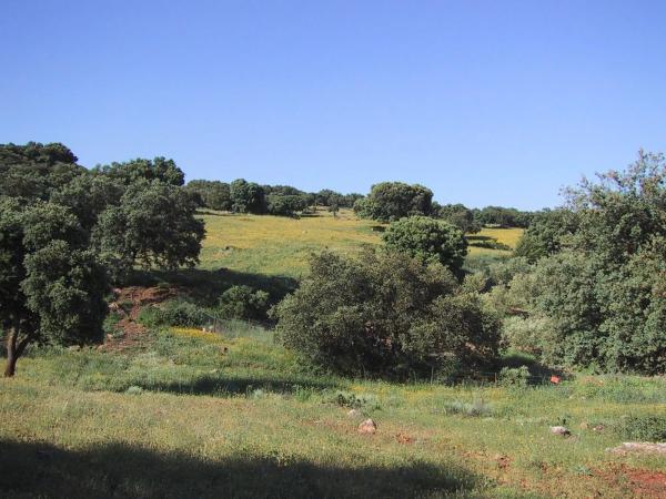 Terreno en carretera El Burgo, km 5