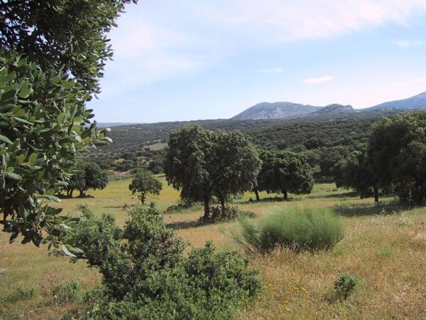 Terreno en carretera El Burgo, km 5