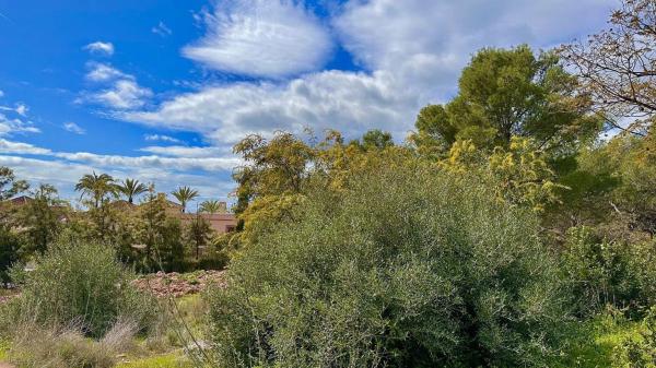 Terreno en calle Sibelius s/n