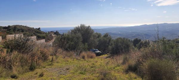 Terreno en Urbanización Pueblo Valtocado, 7