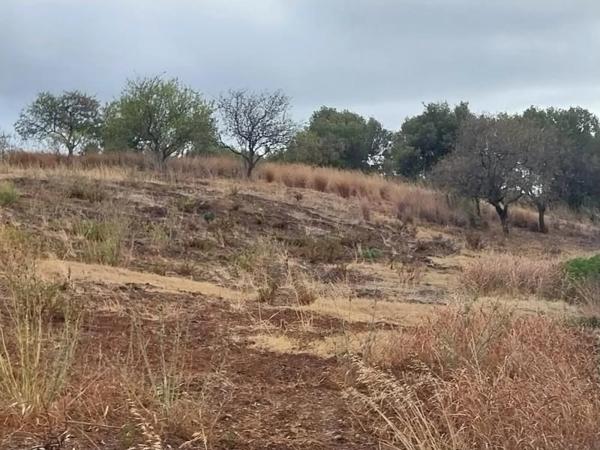 Terreno en Barrio Las Lomas