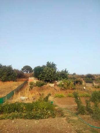 Terreno en Barrio Las Lomas