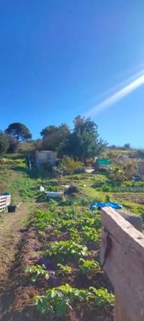 Terreno en Barrio Las Lomas